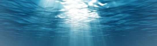 Corporate Social Responsibility